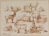 Z 085
<br/>
Studieblad met schapen, geiten en een herdersjongen
<br/>
<em>Ravenswaay, Jan van (1789-1869)</em>